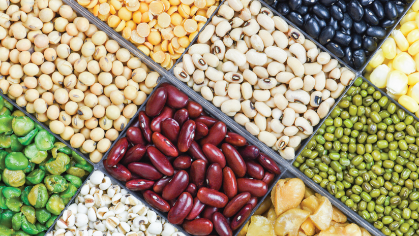 8 Best Plant Protein Sources - 24 Mantra Organic