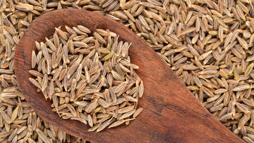 Cumin-Seeds-for-Diabetes:-A-Miracle-Spice-or-Hoax?