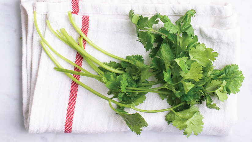 Powerful-Health-Benefits-of-Coriander-Leaves-and-Seeds