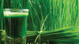 Can Wheatgrass Beat Cancer? Here’s What Science Says