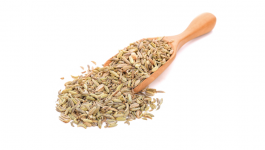 Medicinal Properties and Uses of Fennel