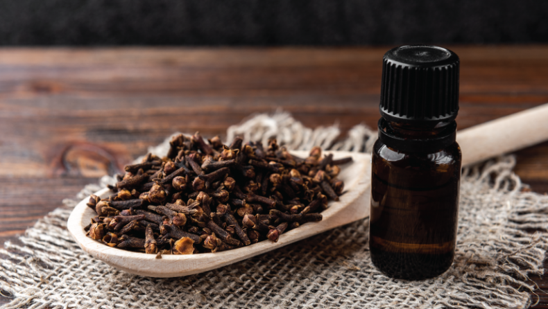 Benefits of Clove Oil for Teeth