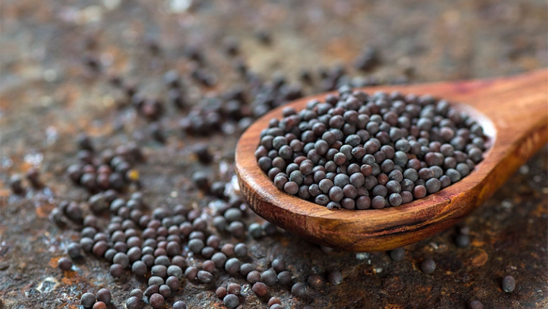 Mustard Seeds Health Benefits: Why You Must Add it to Your Diet