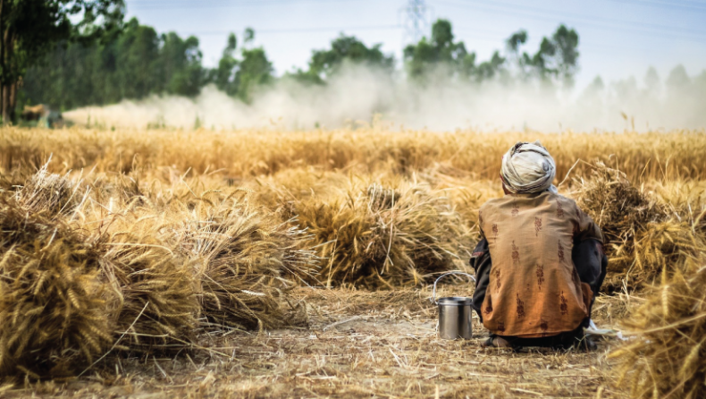 Organic farming methods for a better and sustainable tomorrow