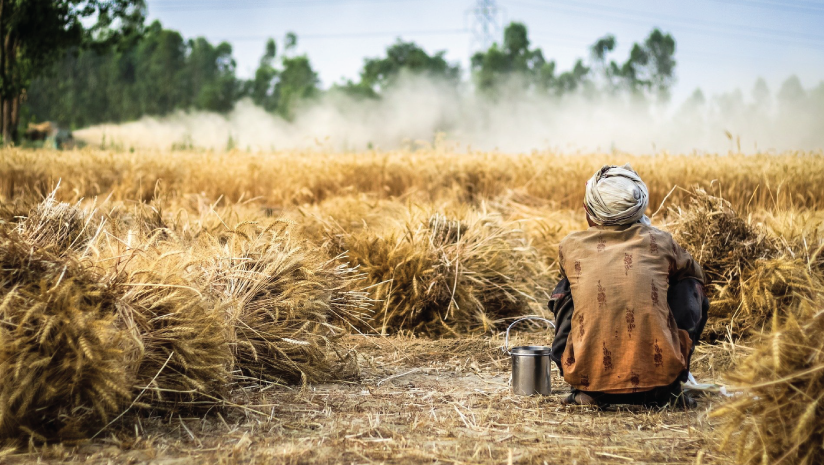 Organic-farming-methods-for-a-better-and-sustainable-tomorrow