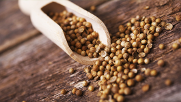 Can Coriander Seeds Help Weight Loss?