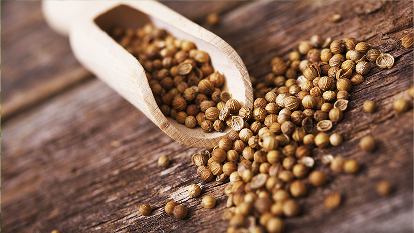 Can-Coriander-Seeds-Help-Weight-Loss?