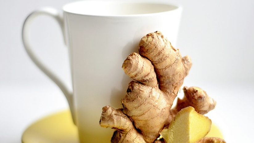 ginger for weight loss