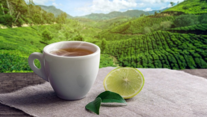 Let’s Have a Look at How Organic Assam Tea Benefits You