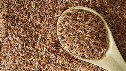 Brown Rice is Rich in Protein! Here’s How it Benefits Your Health