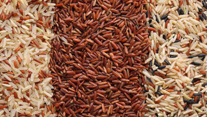 Brown Rice Types and Categories