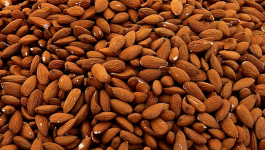 Wholesome Benefits of Organic Almonds For a Sharp Mind