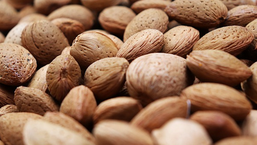 are almonds good for cholesterol