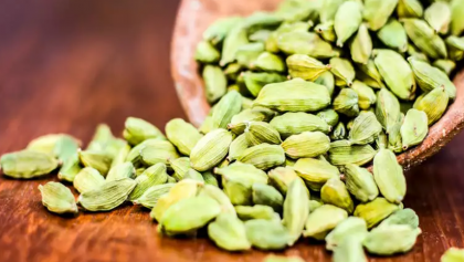 4 Medicinal Uses Of Cardamom