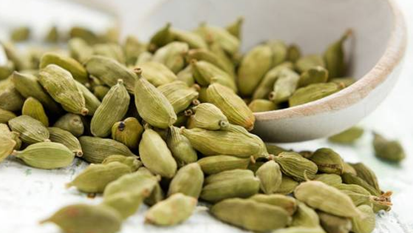 cardamom for weight loss