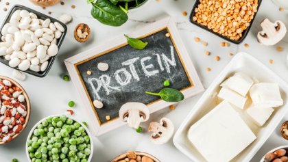 All You Need To Know About The Best Vegan Protein