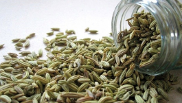 4 Interesting Nutritional Facts About Fennel Seeds