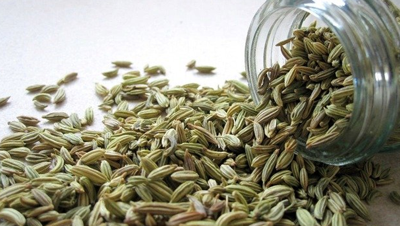 fennel seeds nutritional value