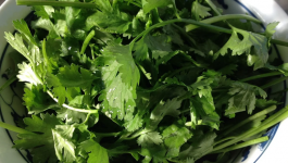 Health Benefits Of Coriander Water For Thyroid