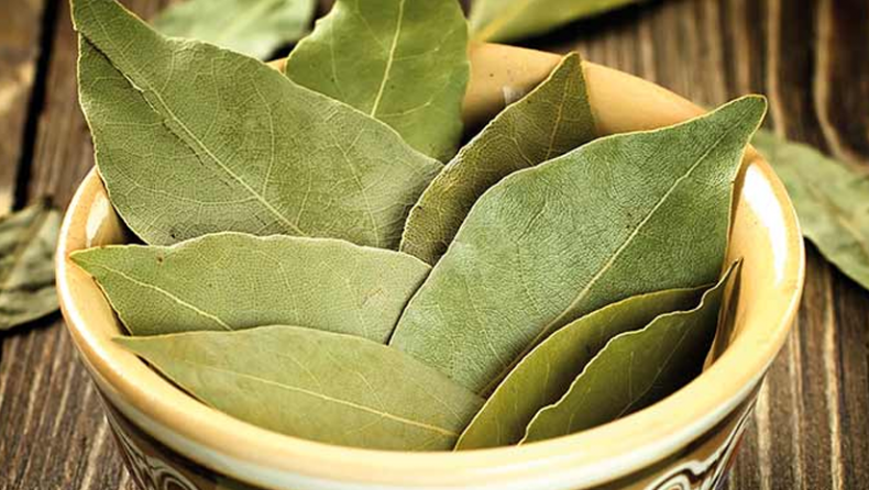 Did you know these benefits of bay leaves?