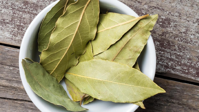 Here’s How Bay Leaves Help You Lose Weight