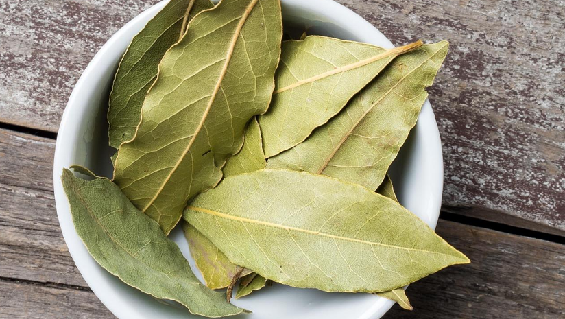 Want to lose weight? Here's all you need to know about bay leaf for