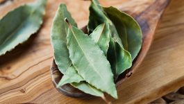 Bay Leaf For Hair? Does It Really Work?