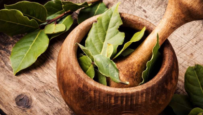 5 Medicinal Uses of Bay Leaves
