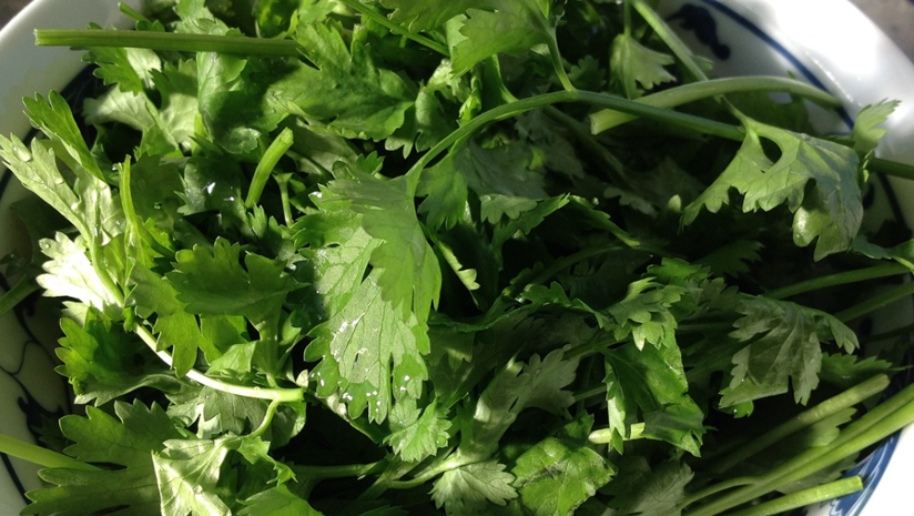 7-Health-Benefits-Of-Coriander-Juice