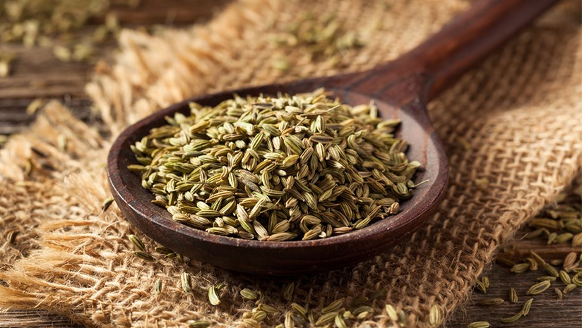 Here’s-More-Reasons-to-Chew-on-The-Benefits-of-Fennel-Seeds