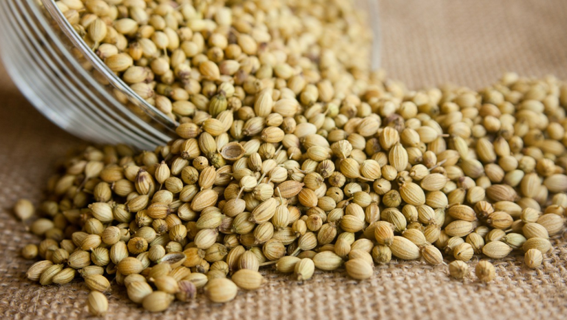 Coriander Seeds