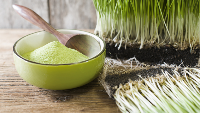 Optimum Organic Wheatgrass Powder Dosage For Best Results