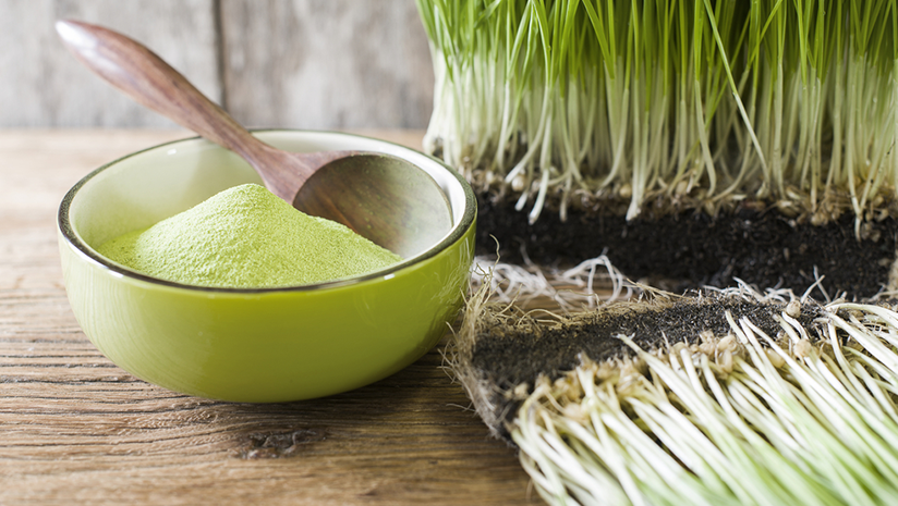 wheatgrass powder dosage