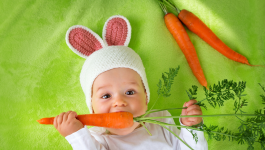 Learn About Some Healthy Food For Kids