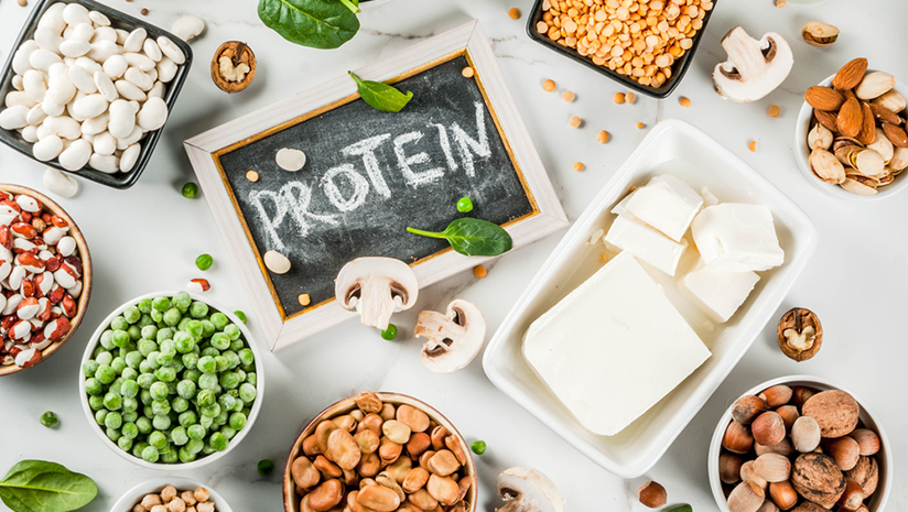 proteins for body