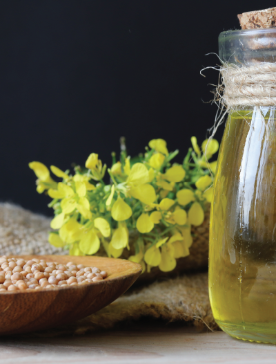 Mustard Oil Benefits For Muscle Pain/ Rheumatoid Arthritis/ Leg Pain