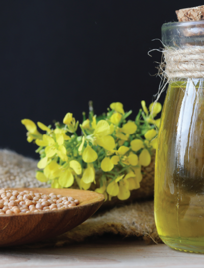 mustard oil benefits