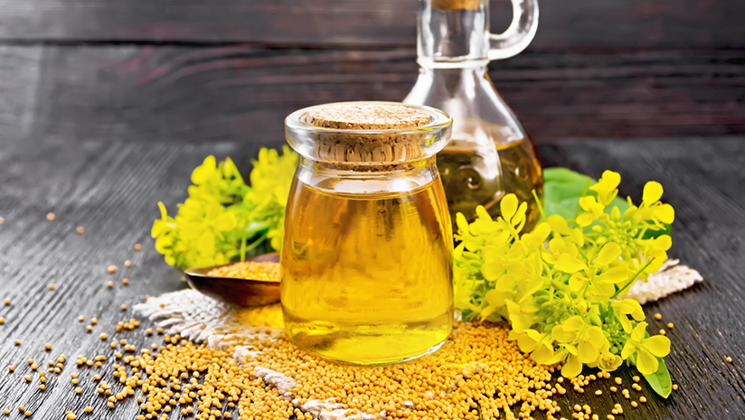 mustard oil for asthma