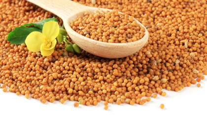 Benefits Of Mustard Oil For Constipation | Is Mustard Good For The Digestive System?